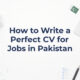 Perfect CV for Jobs